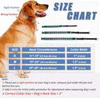 Martingale No Pull Dog Collar - Heavy Duty Nylon With Buckle, Adjustable Anti Pull Reflective Slip Collar for Large Medium Small Dog Training Walking M Green
