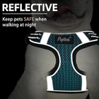 PUPTECK Dog Harness and Leash Set Small Sized, Step in No Pull Adjustable Puppy Cat Harness Reflective Pet Vest