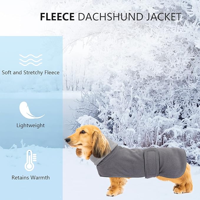 Geyecete Dachshund Sweater, Jacket, and Winter Coat With Padded Fleece Lining, High Collar, Snowsuit With Adjustable Bands - Gray - Size M