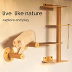 Cat Window Perch and Cat Wall Shelves 2 in 1 Cat Scratching Activity Tree Wall Mounted, Cat Scratch Post for Cats, Kittens with Cat Bed