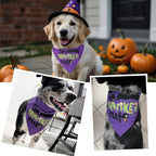 Halloween Dog Bandanas Costumes - So Franken Cute - Slogan Printed Holiday Pet Bandana Snap Button Triangle Scarf, 30-75lbs, Medium and Large Breed