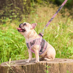 PUPTECK Soft Mesh Dog Harness and Leash Set Step-in Plaid Puppy Padded No Pull Vest Harness for XS Small Medium Sized Dogs Cats Outdoor Walking, Pink S