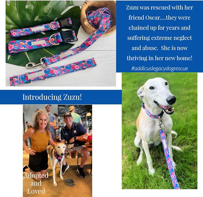 Lucky Love Dog Martingale Dog Collar - Adjustable, No-Slip, Durable, & Soft Webbing Collar for Male and Female Dogs Ideal for Training & Walking - Zuzu, Medium
