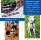 Lucky Love Dog Martingale Dog Collar - Adjustable, No-Slip, Durable, & Soft Webbing Collar for Male and Female Dogs Ideal for Training & Walking - Zuzu, Small