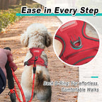 BARKBAY Dog Harness No Pull Mesh for Small Dogs - Adjustable, Reflective, Comfortable, No Choke, Heavy-Duty - Perfect for Outdoor Training, Walking, and Hiking - Strong & Durable - S & Red Mesh