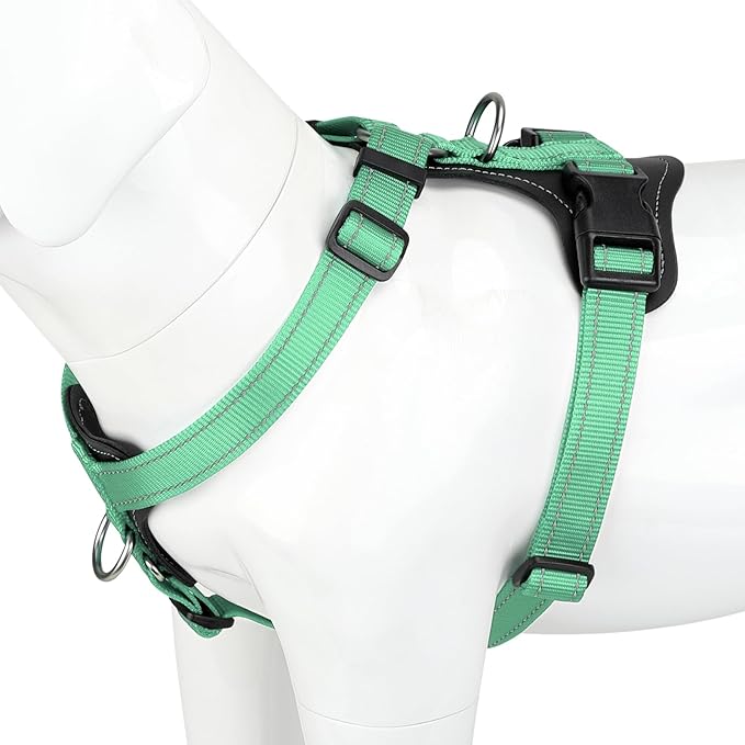 Plutus Pet Adjustable No Pull Dog Harness with Leather Accents, Heavy Duty Reflective Nylon Vest for Training, Hiking, Easy Walk Harness for Small, Medium, Large Dogs (Teal, M)