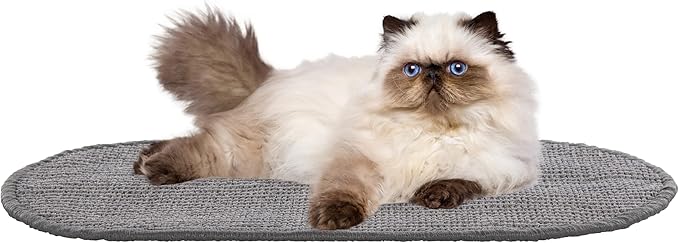 SAFAVIEH Cat Scratch Mat Pad Collection, 12" x 20", Oval, Gray, Boucle Weave, Velcro & Slip Resistant Backing