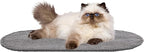 SAFAVIEH Cat Scratch Mat Pad Collection, 12" x 20", Oval, Gray, Boucle Weave, Velcro & Slip Resistant Backing