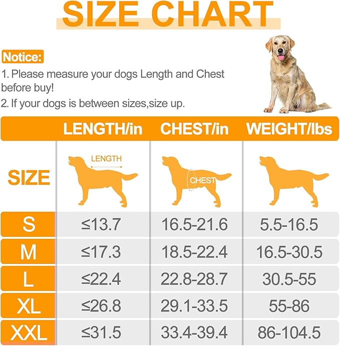 Bienbee Dog Bathrobe, Quick Drying Super Absorbent Dog Robes for After Bath, Warm Keeping Dogs Towel, Dogs Bath Supplies, Light Blue XL