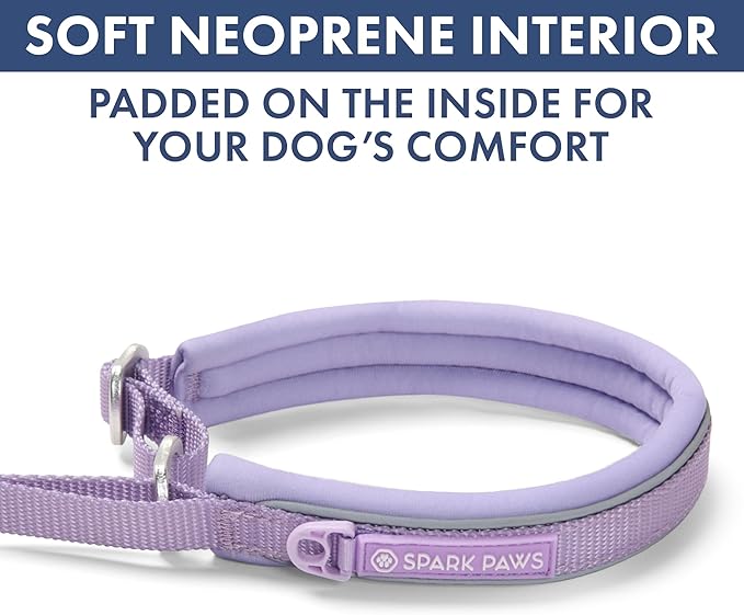 Spark Paws Martingale Dog Collar – Cushioned Slip-On Training Collar, Heavy Duty, Safety-Tested No-Buckle Collar for Medium & Large Dogs - Lilac - D