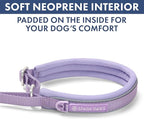 Spark Paws Martingale Dog Collar – Cushioned Slip-On Training Collar, Heavy Duty, Safety-Tested No-Buckle Collar for Medium & Large Dogs - Lilac - D