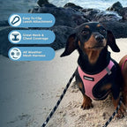 Best Pet Supplies Voyager Step-in Air All Weather Mesh Harness and Reflective Dog 5 ft Leash Combo with Neoprene Handle, for Small, Medium and Large Breed Puppies - 1Pink Base, XL