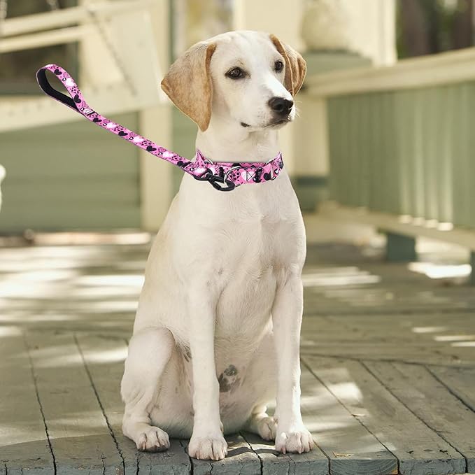 Martingale Collar and Leash Set, Premium No Slip Martingale Collar for Dogs Medium Large, Girl Dog Collars Training (NO16, M)