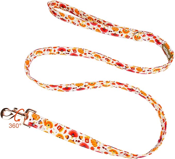 Tunkoo Dog Leash Pumpkin and Turkey Pattern - Durable, Stylish Thanksgiving Pet Leash, Available in Small, Medium and Large, Daily Walking Puppy Leash, S