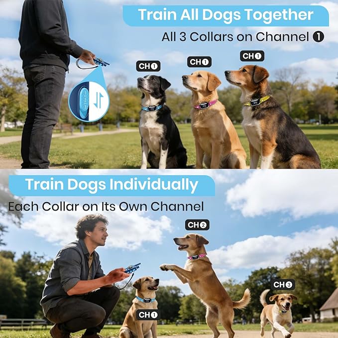 PetJoy Shock Collar for 3 Dogs & Dog Training Collars with Lockable Shock - Shock Lock Mode Switches to Tone & Vibe Only, Remote Features Slide Safety Lock, 4000ft Range (9 Tones)