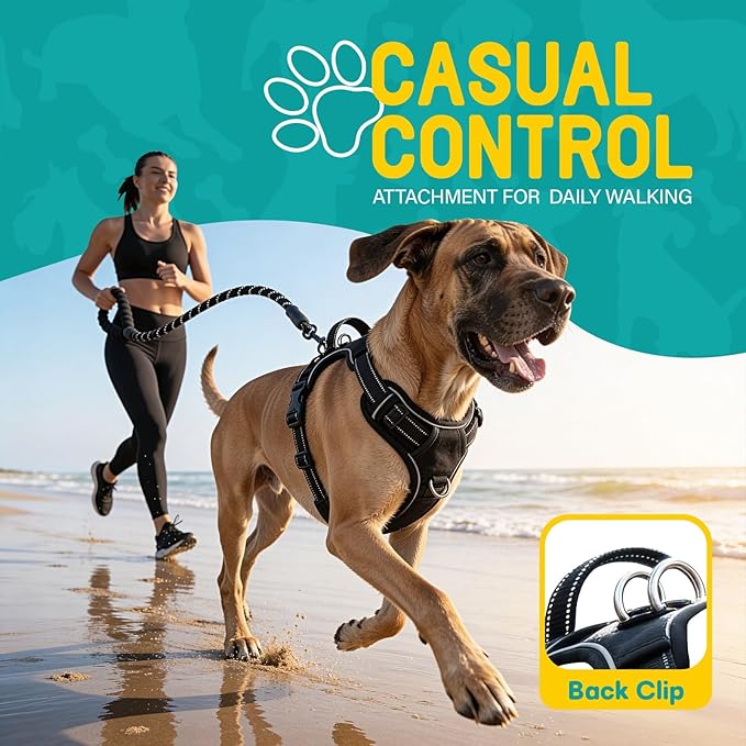 No Pull Dog Harness and Leash Set for Extra Large Dogs – Adjustable Reflective Breathable Soft Padded Easy Control Dog Harness for Training & Walking, Black (X-Large)