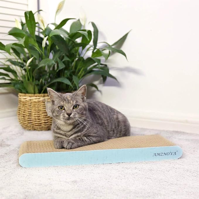 AMZNOVA Cat Scratcher Rescratch Cat Scratching Board, Scratching Pad with Catnip for Indoor, Flat Cardboard Scratcher Scratch Board for Kitten, Narrow, Baby Blue