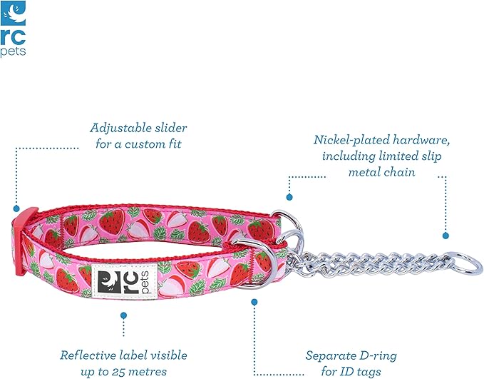 Training Collar | Strawberries, Large