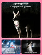 Dog Training Collar for 3 Dogs, No Shock Vibrating Dog Collar 3 Pack - Rechargeable Waterproof 3300FT Training Collars with Remote, Vibration Collar for Puppy Small Medium Large Dogs