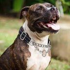 Reflective Martingale Collar for Dogs with Steel Chain, Adjustable No Pull Dog Training with Soft Padded for Large Breed Dogs, Medium, XL, XXL Walking Collar (Black XL)
