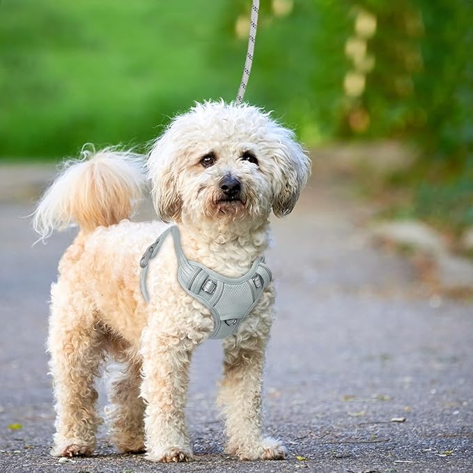BARKBAY No Pull Dog Harness Large Reflective Dog Harness with Front Clip and Easy Control Handle for Walking Training Running with ID tag Pocket(Grey,S)