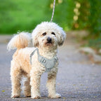 BARKBAY No Pull Dog Harness Large Reflective Dog Harness with Front Clip and Easy Control Handle for Walking Training Running with ID tag Pocket(Grey,S)
