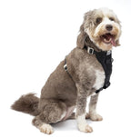 Kurgo Enhanced Strength Tru-Fit Dog Car Harness - Pet Travel Safety Harness - Crash Test Certified Fit - Five Point Adjustment - Secure Buckle - Padded Chest - Black - Large