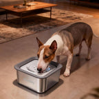 Kactoily 3L No-Spill Dog Water Bowl, Large Capacity Slow-Drinking Pet Water Feeder with Anti-Splash Floating Disk and Non-Slip Base (Square Dog Bowl)