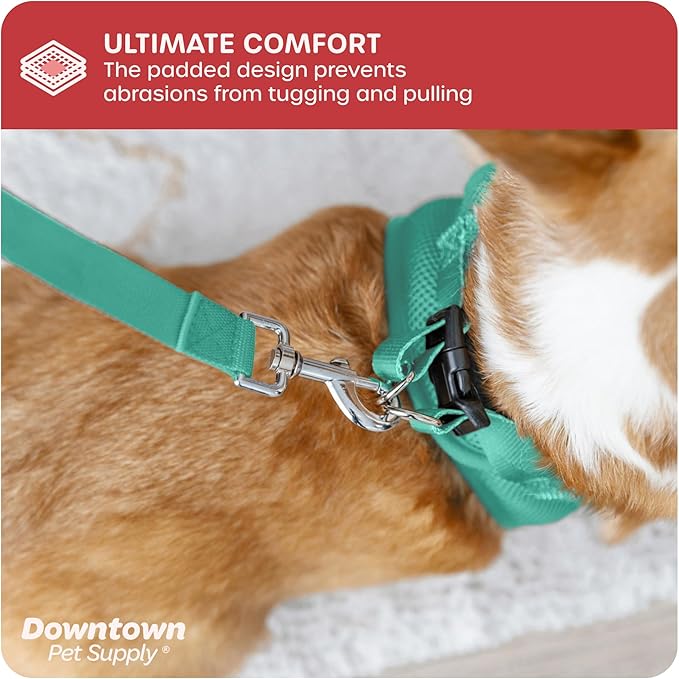 Downtown Pet Supply Step-in Dog Harness – No Pull, Adjustable Padded Mesh with Reflective Trim, Secure Buckle Strap – Comfortable & Breathable Small Dog Harness, Small, Bermuda Blue