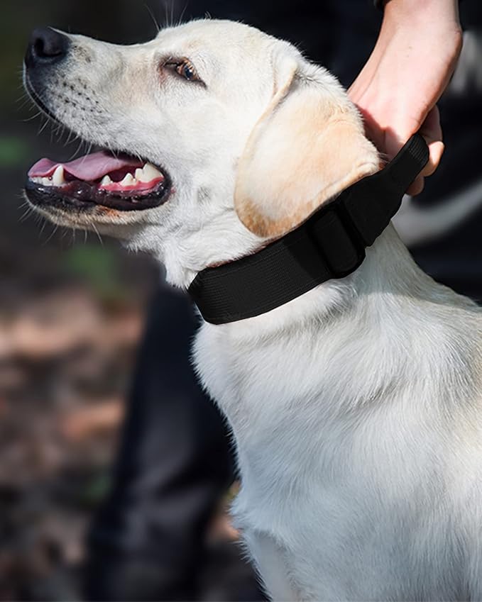 Tactical Dog Collar for Medium Large Dogs, Heavy Duty Dog Collars with Handle, Metal Buckle Dog Training Collar, Thick Large Military for Male or Female (M, Black)