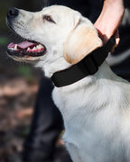 Tactical Dog Collar for Medium Large Dogs, Heavy Duty Dog Collars with Handle, Metal Buckle Dog Training Collar, Thick Large Military for Male or Female (M, Black)