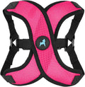 Gooby Comfort X Step in Lite Dog Harness - Choke Free, Escape Free with Light Breathable Mesh - Step in Dog Harness for Small Dogs Only - Quick Release Buckle, Metal D-Rings - Flamingo Pink, X-Small