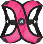 Gooby Comfort X Step in Lite Dog Harness - Choke Free, Escape Free with Light Breathable Mesh - Step in Dog Harness for Small Dogs Only - Quick Release Buckle, Metal D-Rings - Flamingo Pink, Large