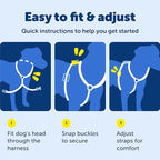 PetSafe 3-in-1 Harness - Comfortable Easy-Walk Dog Chest Harness with Front Leash Attachment to Reduce Pulling, Choking & Gagging - Dog Obedience Gear - Medium - Teal