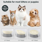 Bulldog Bowl Anti-Slip Dog Cat Dish Detachable Rubber Dog Bowl Pet Sterile Tilted Pet Feeder Slope Base (Grey-2 Cup)