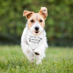 Dog Wedding Engagement Bandana Apparel & Accessories Pet Bandana Scarf Photo Prop Mom,Will You Marry My Dad? Wedding Outfit Funny Engagement Party Decorations Gifts