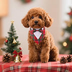 ADOGGYGO Christmas Dog Tuxedo Bandana, Red Green Plaid Pet Xmas Collar with Bow, Adjustable Christmas Costume for Small Dogs (S)