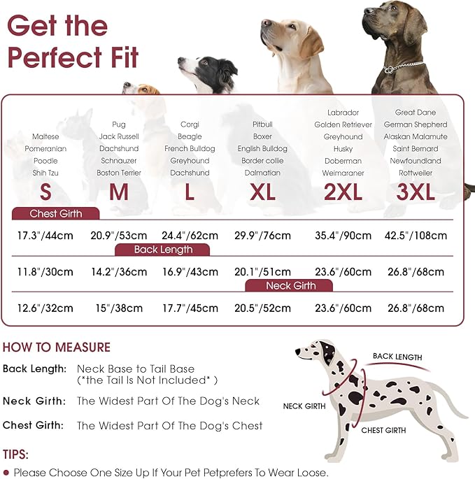 Queenmore Dog Coat, Dog Coats for Small Dogs, Doggy Winter Jacket with Zipper On Back, Waterproof Pet Jacket with Harness Built in, Pet Puffer Coat for Bichon, Schnauzer, Yorkie, Burgundy S