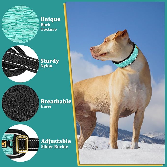 Mayerzon Martingale No Pull Collar for Large Medium Dogs Pitbull German Shepherd Rottweilers, Patented Reflective Anti Pull Dog Walking Collar with Buckle for Training Hiking, Adjustable(M, Cyan)