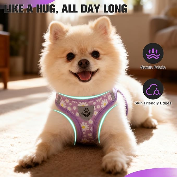 EXPAWLORER Small Dog Harness and Leash Set - Cute Spring Puppy Harness Leash Dog Collar with AirTag Holder Silicone Case, Soft Padded Step in Pet Vest Reflective for Outdoor Walking, Purple Daisy M