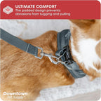 Downtown Pet Supply Step in Dog Harness for Small Dogs No Pull, X-Small, Titanium - Adjustable Harness with Padded Mesh Fabric and Reflective Trim - Buckle Strap Harness for Dogs