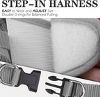EXPAWLORER Classic Plaid Puppy Harness - Small Dog Harness and Leash Set - Dog Collar and Leash Set with AirTag Holder, Soft Padded Step in Dog Vest Harness No Pull Reflective for Outdoor, Grey XXS