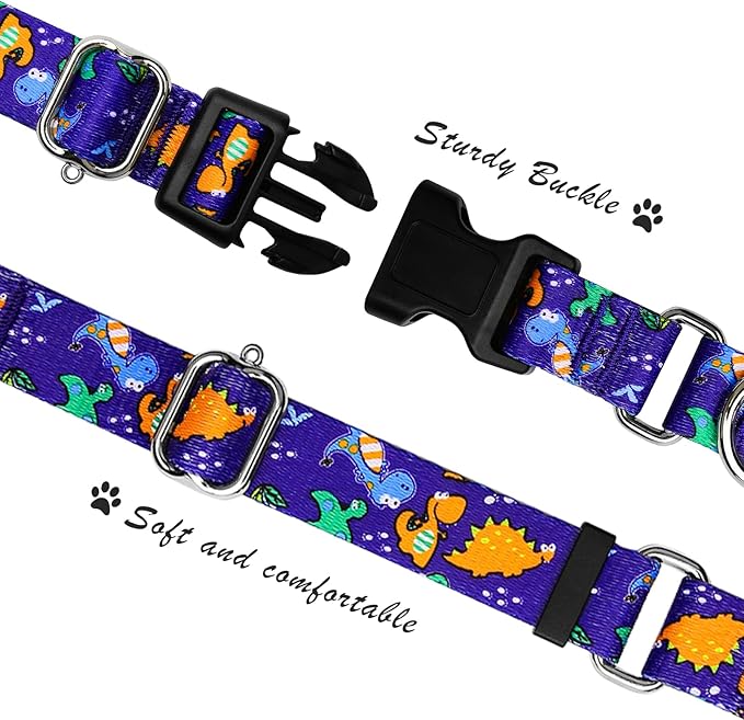Hikiko Martingale Collar for Dogs Cute Dinosaur Dog Collar for Small Medium Large Dogs Comfortable Nylon Funny Dog Collars (Dinosaur,Large)