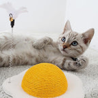 balacoo Pet Toy Cat Scratching Board, Hamster House, Egg Yolk Design, Interactive Kitten Toys
