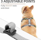 PUPTECK Small Dog Harness and Leash Set, No Pull Adjustable Puppy Cat Harness, Reflective Soft Mesh Pet Vest Small Sized, Grey, L