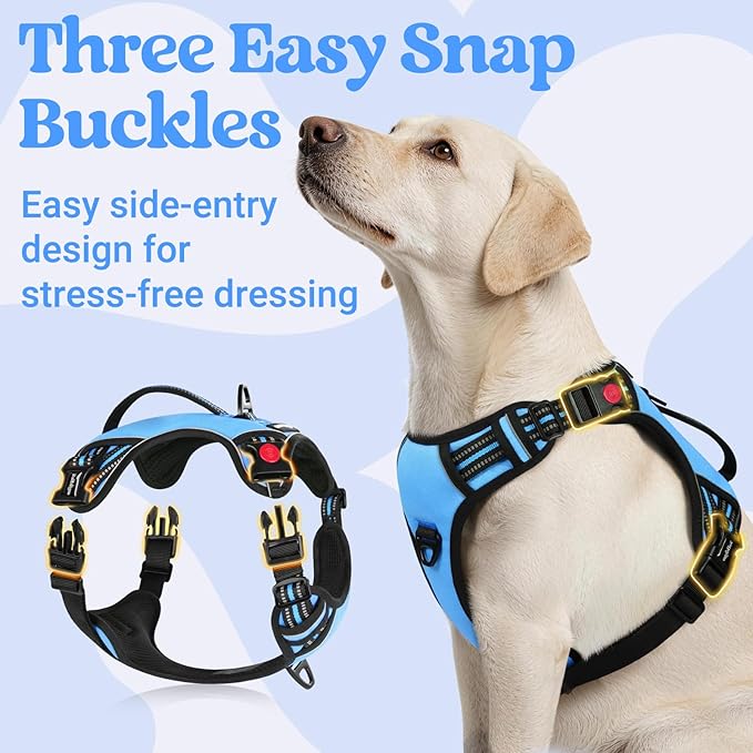 rabbitgoo Dog Harness for Large Dogs, No Pull Pet Harness with Soft Padded Handle, Adjustable Reflective Vest with 3 Buckles, Easy Walking Harness with 2 Leash Clips, Light Blue, L