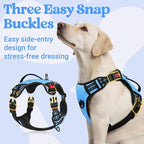 rabbitgoo Dog Harness for Large Dogs, No Pull Pet Harness with Soft Padded Handle, Adjustable Reflective Vest with 3 Buckles, Easy Walking Harness with 2 Leash Clips, Light Blue, L