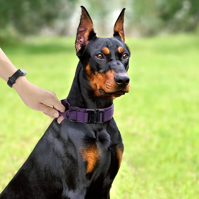 Tactical Dog Collar, Adjustable Military Training Nylon Dog Collar with Control Handle and Heavy Quick-Release Metal Buckle for Small Medium Large Dogs, Purple S