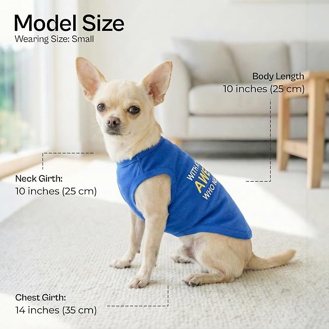 Parisian Pet Dog T-Shirt - Embroidered “ Awesome “ Shirt - Pure Cotton and Lightweight Dog Clothes - Blue Sleeveless Pet Tee Shirts - Cute Puppy Clothes - Shirts for Small Dogs Boy - S