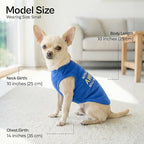 Parisian Pet Dog T-Shirt - Embroidered “ Awesome “ Shirt - Pure Cotton and Lightweight Dog Clothes - Blue Sleeveless Pet Tee Shirts - Cute Puppy Clothes - Shirts for Small Dogs Boy - S